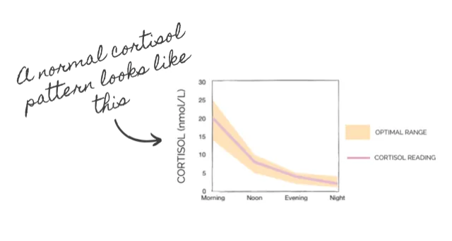 Normal Cortisol